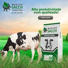 Master Sacch AD