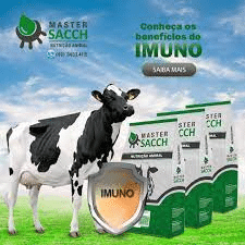 Master Sacch Imuno +