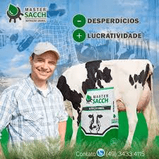Master Sacch Imuno